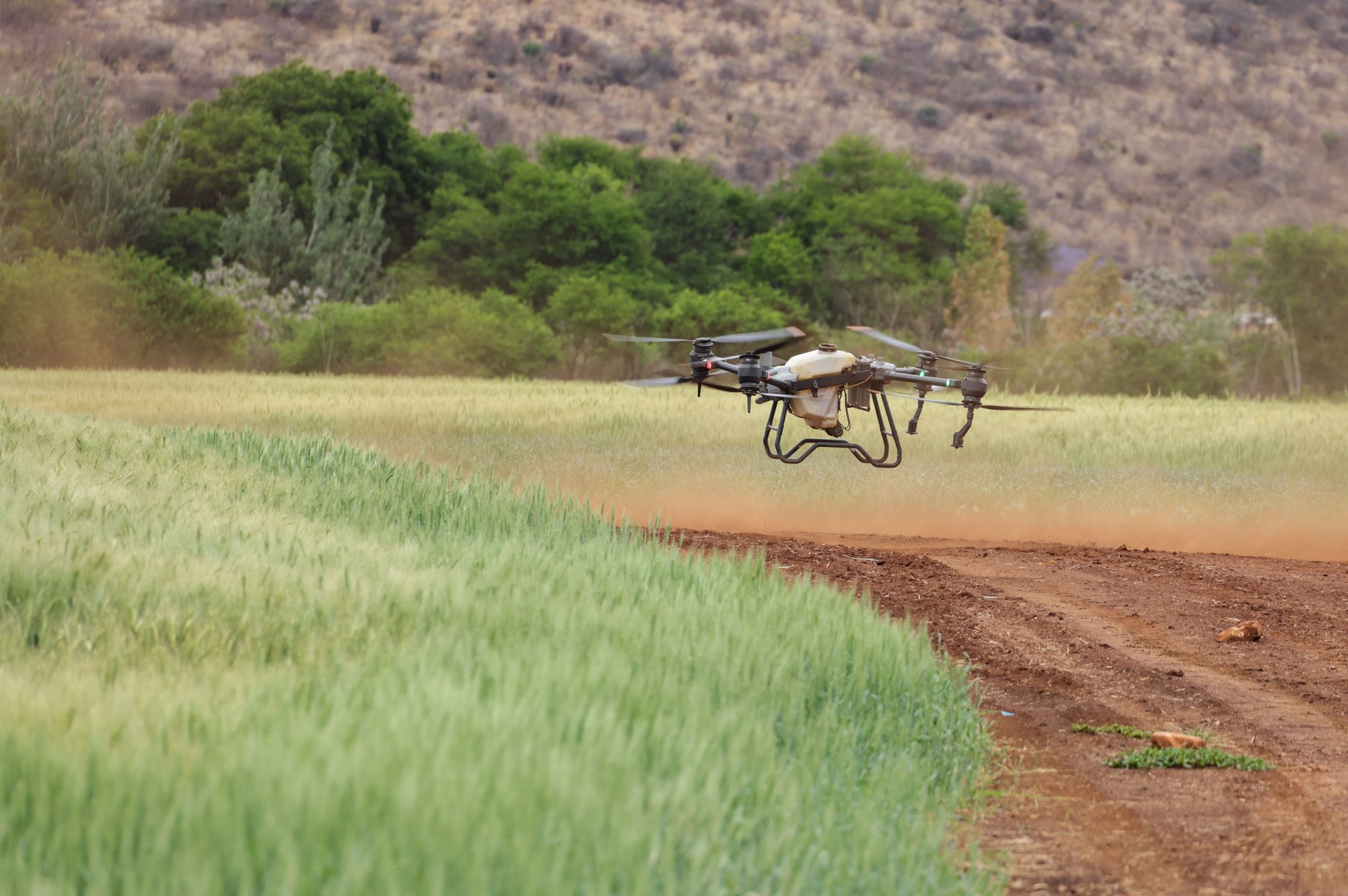 Drone-Borne Crop Stress Mapping for a Large Grain Producer